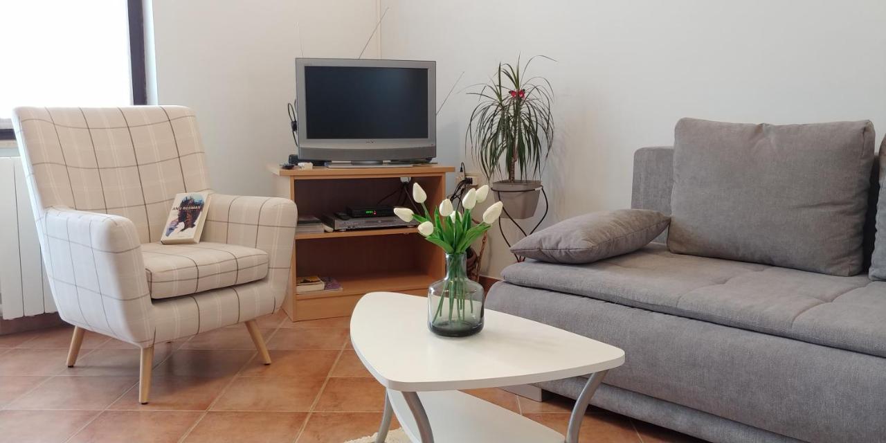 Apartment Fabris Roč Exteriör bild